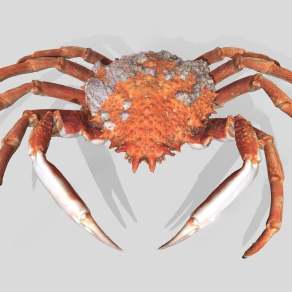 现代螃蟹3D模型下载